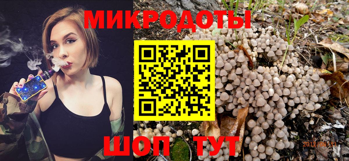 Псилоцибиновые грибы GOLDEN TEACHER  сколько стоит  Горно-Алтайск  Вход с VPN  Галлюциногенные грибы мицелий 